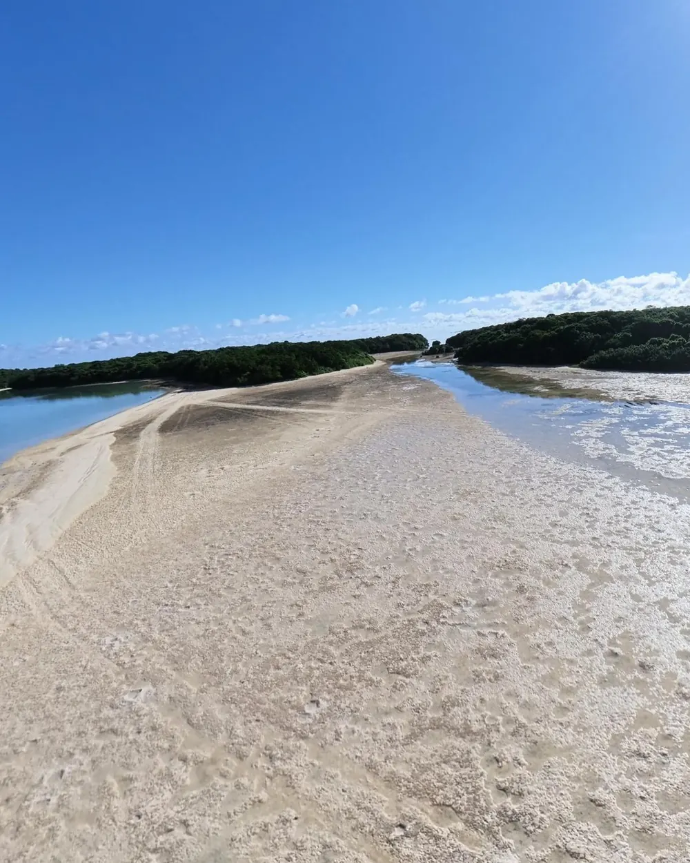 砂州に立ったときの目線の風景